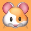 WWW,551av·COM网站APPAPP应用