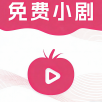 23TV影视去广告版 23TV影视去广告版